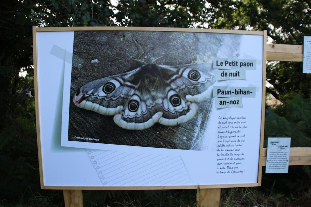 La Petite Bretonne Villa Plounerin Екстериор снимка