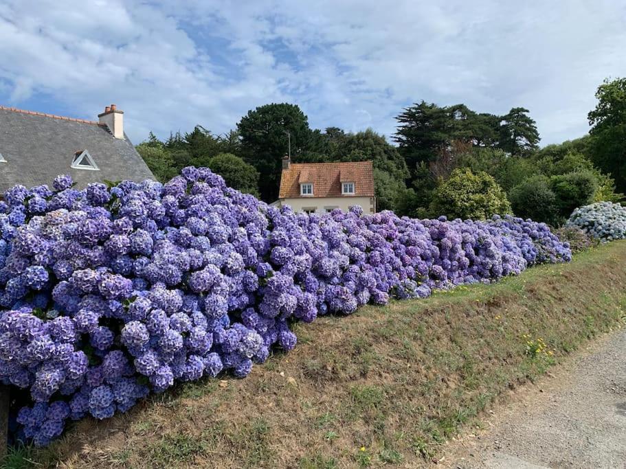 La Petite Bretonne Villa Plounerin Екстериор снимка